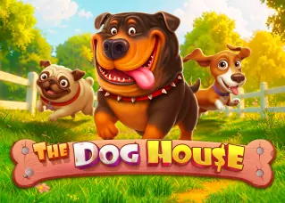 สล็อตแตกง่าย เว็บตรง The Dog House ทดลองเล่นฟรี